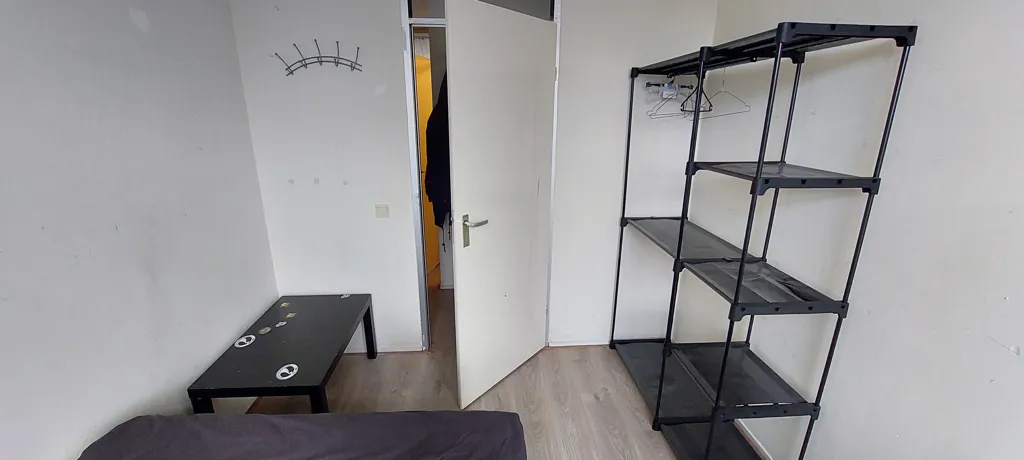 Magamistoad - Female-Only Room in Amsterdam-Noord