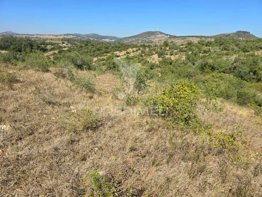 Jardin - Rustic Land with Approved Project in Mafra