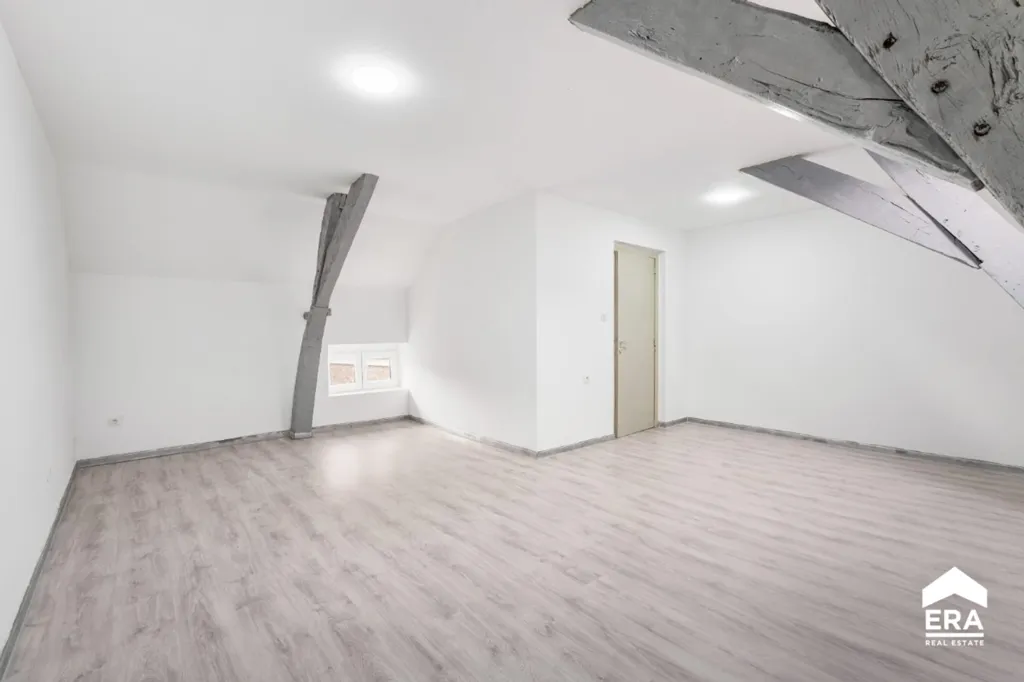 Toad - Spacious Semi-detached House with Courtyard in Tirlemont