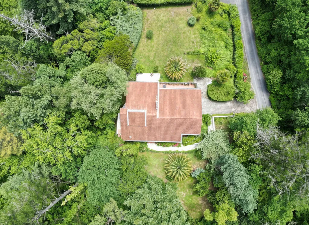 Vista aerea - Panoramic View House in Saint-Pée-sur-Nivelle