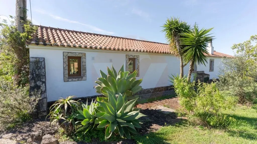 Extérieur - Equestrian Villa with Water View in Beja District