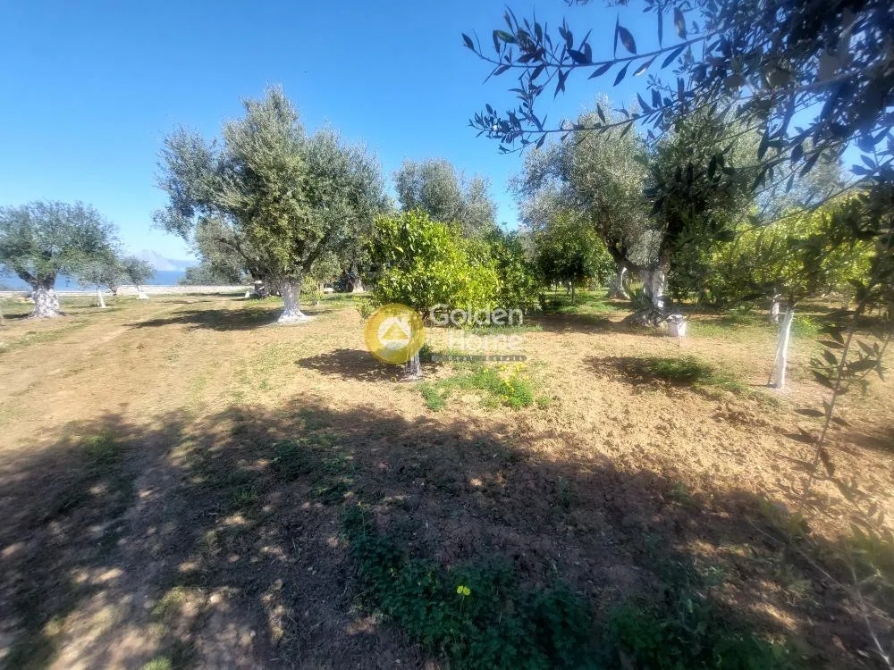 Aed - Buildable Plot with Sea View in Nea Acharnes