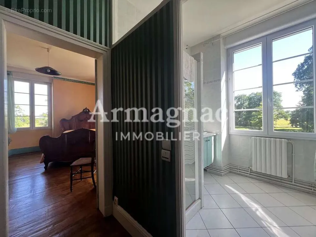 Séjour - Maison de Maître avec Dépendances à Castelnau-d’Auzan-Labarrère