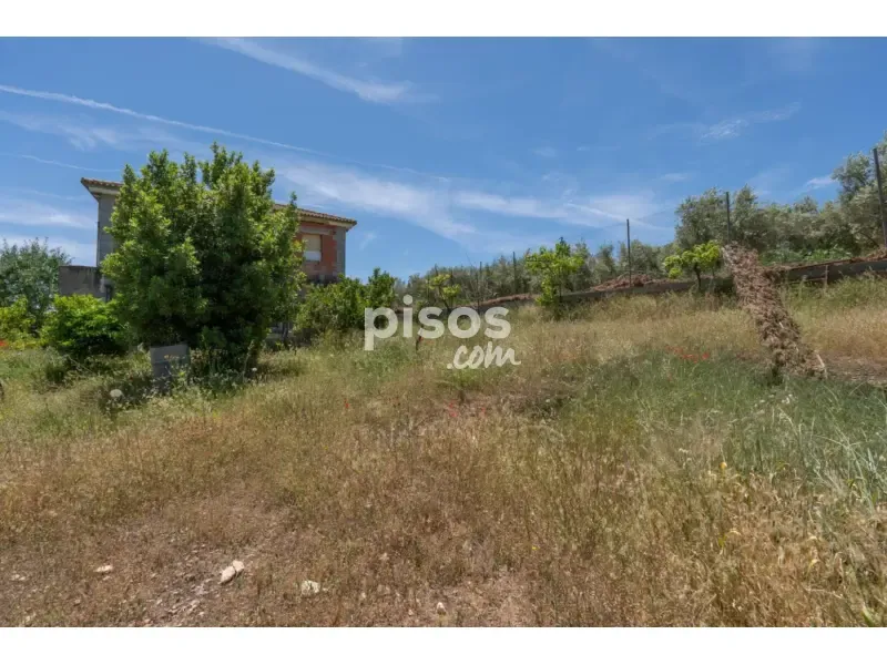 Jardin - Rustic Chalet with Terrace in Moraleda de Zafayona