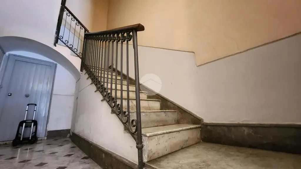 Toad - Studio Flat with Central Location in Palermo