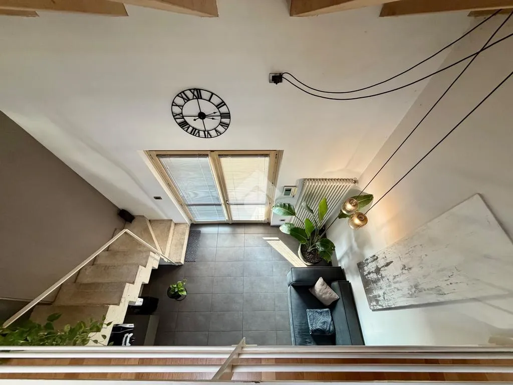 Toad - Loft with Terrace in Sona