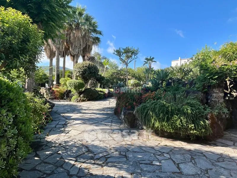 Aed - Villa with Pool in Ischia Porto