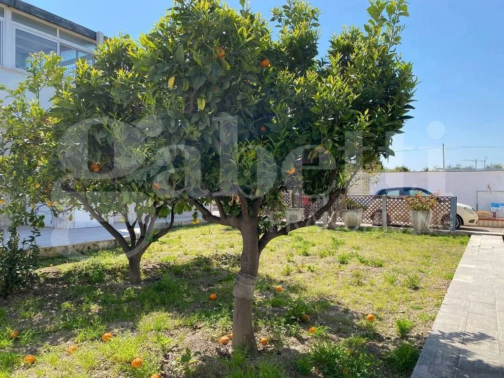 Garden - Versatile Villa with Garden in Trani