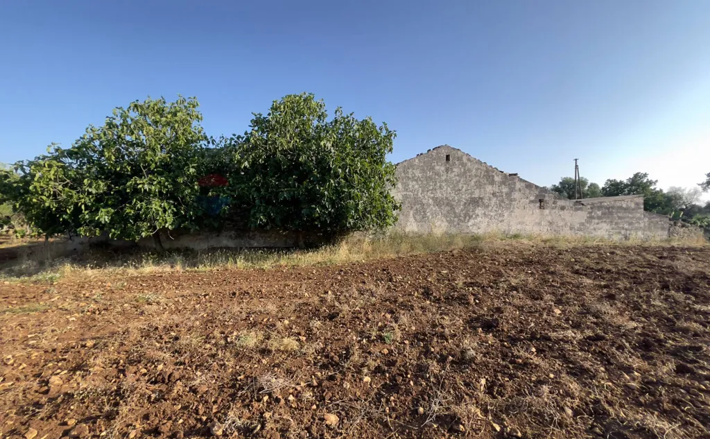 Jardin - Terrain à IT