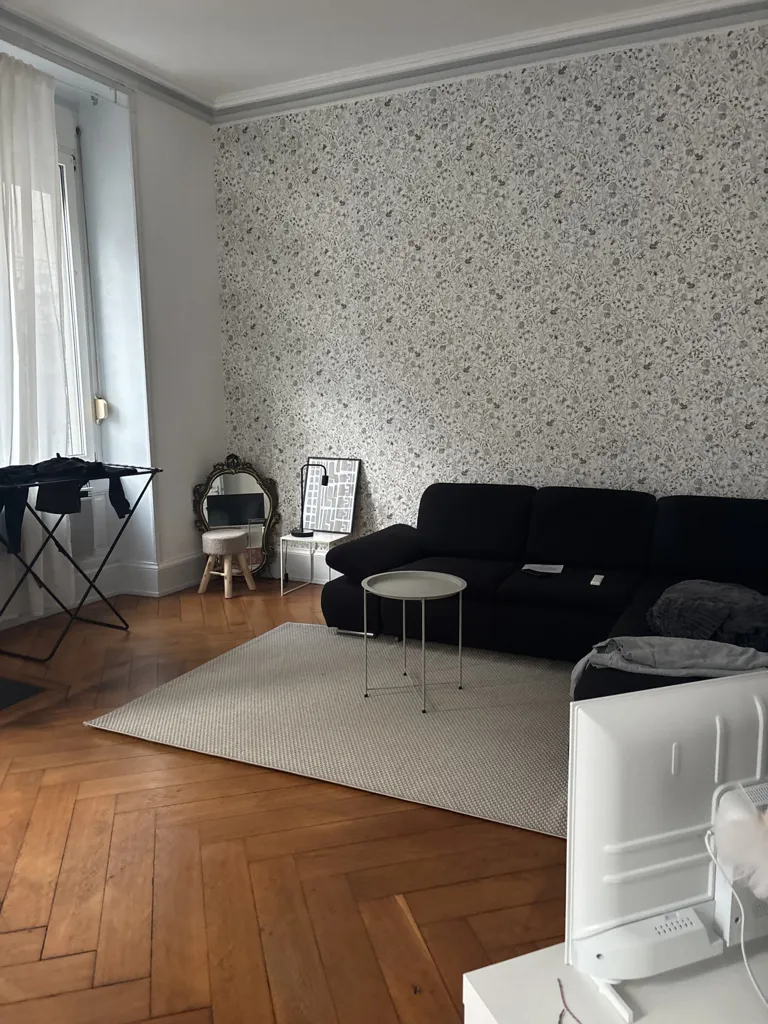 Séjour - Appartement 2/3 Pièces Centre Historique à Mulhouse