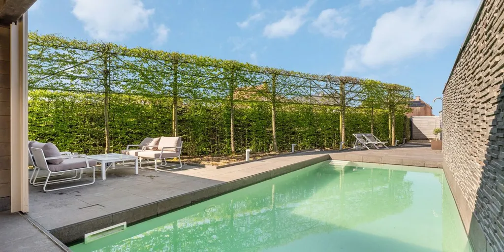 Pool - Modern Villa with Wellness Area in Dessel