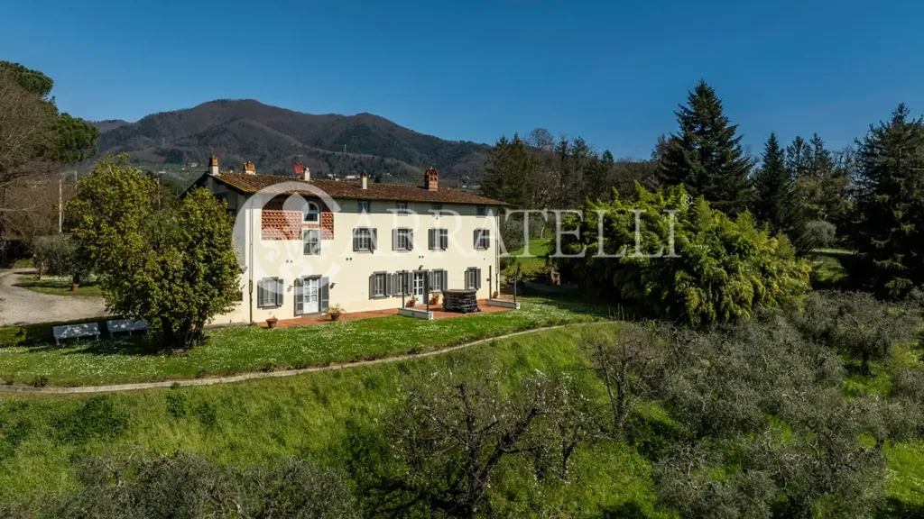 Välivaade - Historic Villa with Olive Grove in Capannori