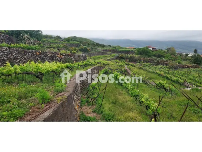 Aed - Rustic Farmhouse with Bodega near Calle Real