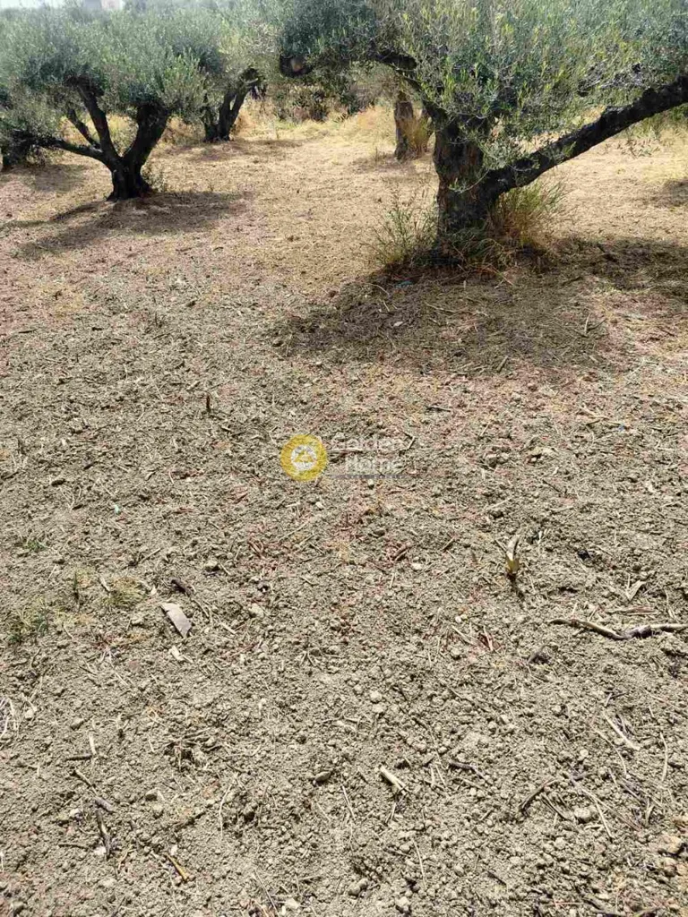 Aed - Privileged Plot with Mountain View in Agios Theodori