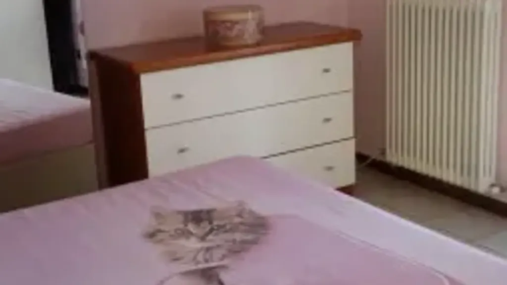 Bedrooms - Armed Two-Bedroom Apartment in Piacenza
