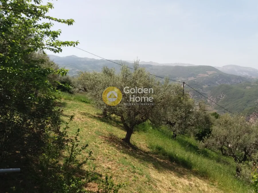 Aed - Buildable Plot with Olive Trees in Agia Varvara