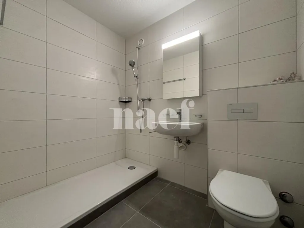 Salles de bain - 3-Bedroom Apartment with Balcony in Neuchâtel