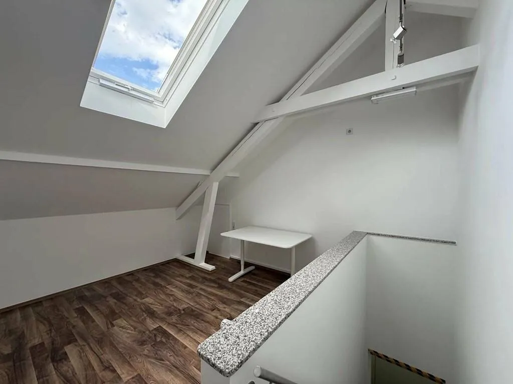 Toad - 5-Bedroom House with Multiple Uses in Luxembourg