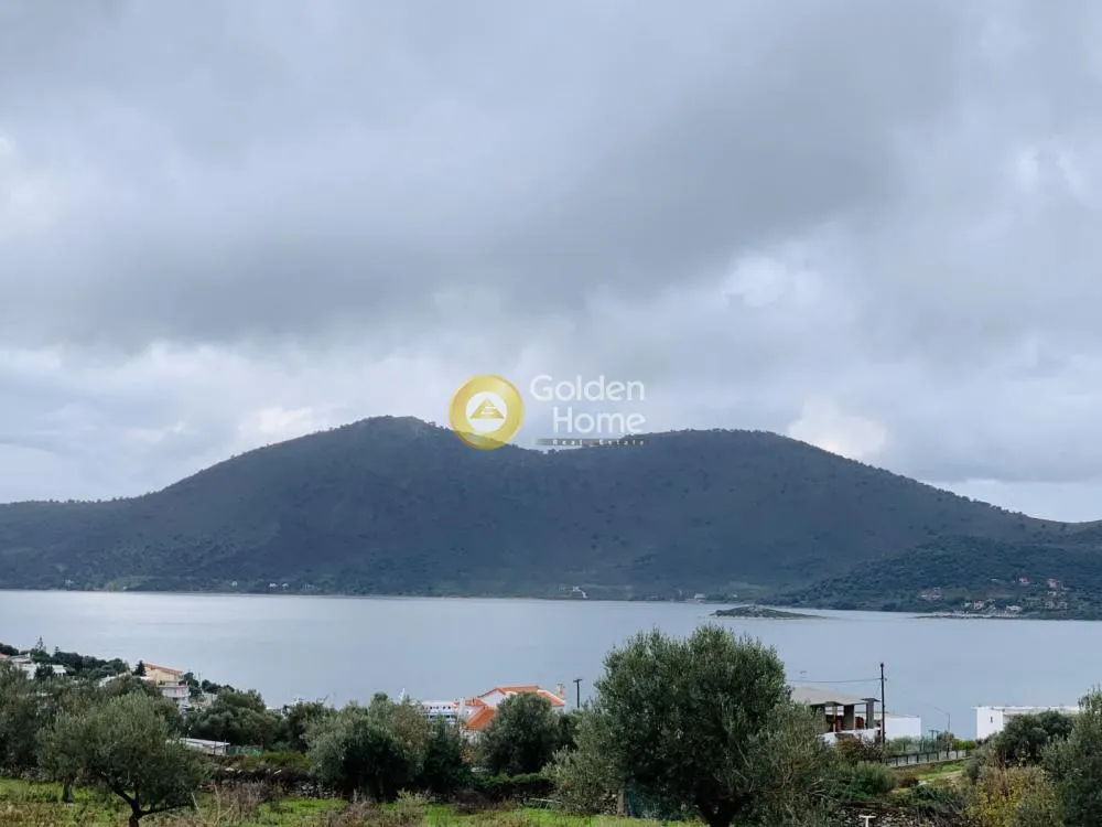 Aed - Panoramic Plot with Olive Trees in Almyropotamos