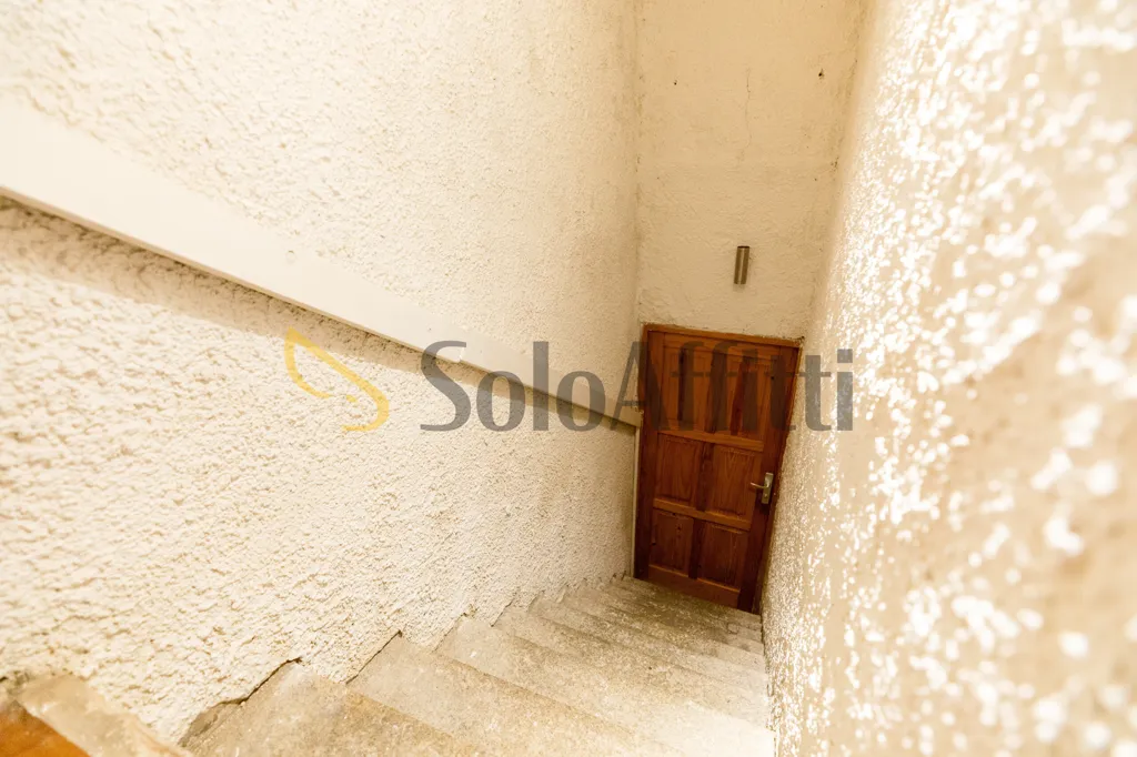 Toad - Studio in Historic Centre, Olbia