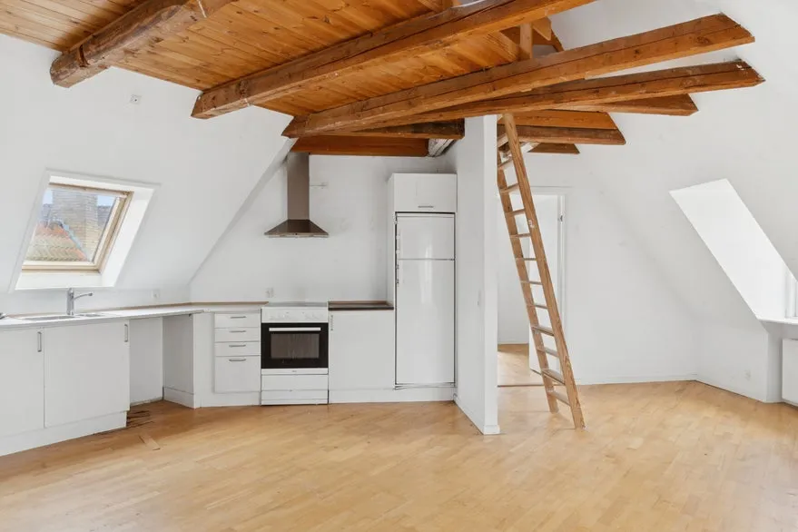 Toad - Investment Property with Shops in Kr. Hyllinge