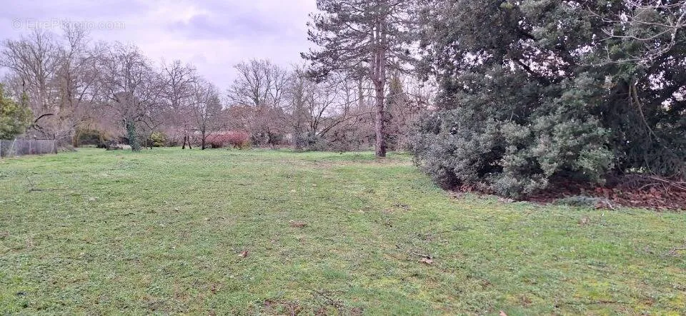 Giardino - Buildable Plot with Garden in Pibrac