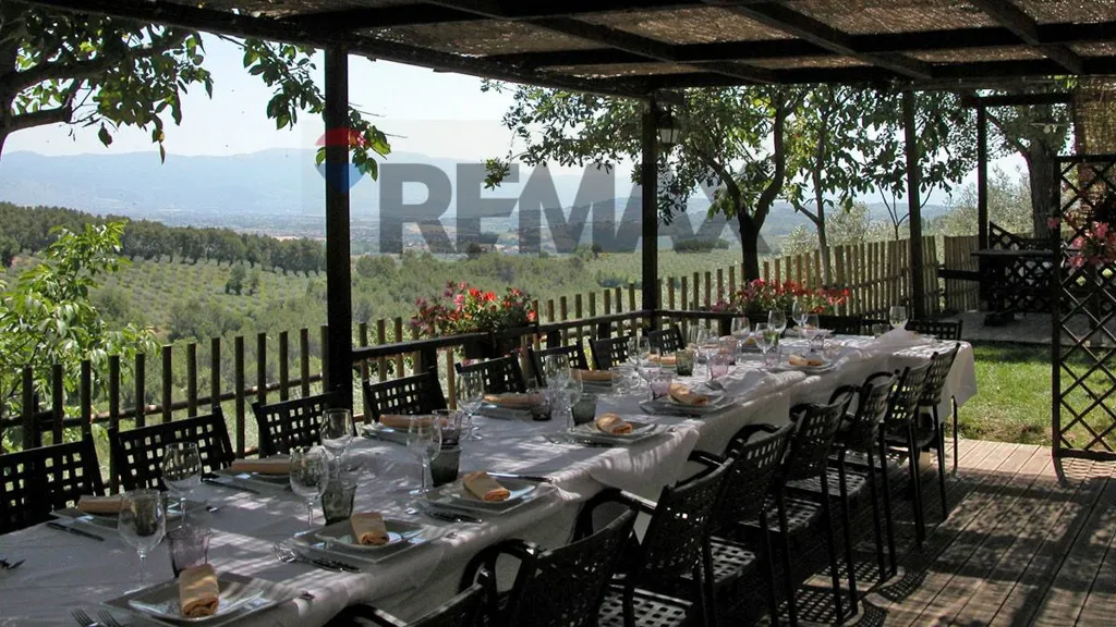 terrace_patio