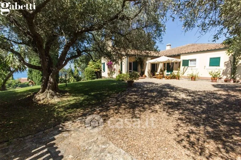 Garden - Villa with Sea View in Monte Argentario