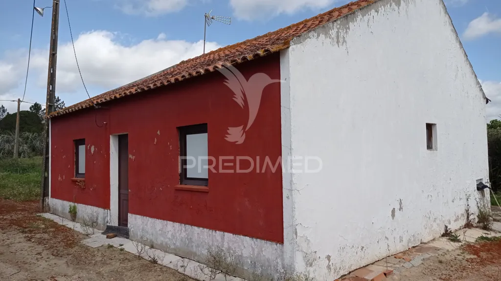 Välivaade - Traditional House with Fruit Trees in Couço, Coruche