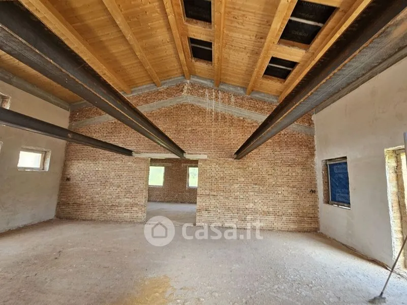 Toad - Rustic Casale with Olive Grove in Polverigi