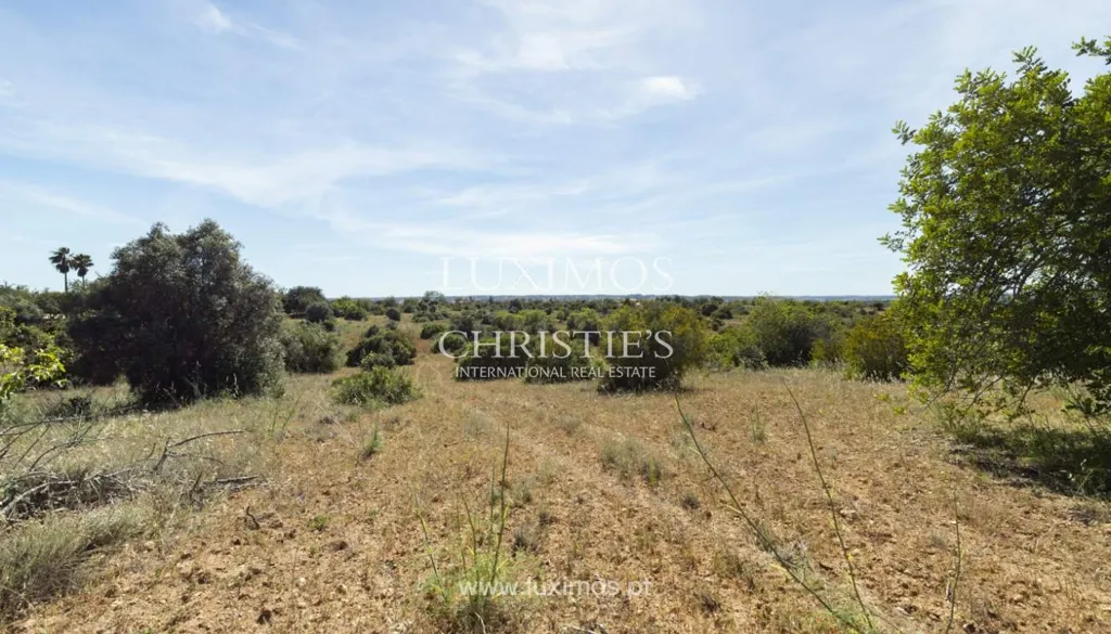 Jardin - Rural Quinta with Hotel Potential in Alcantarilha