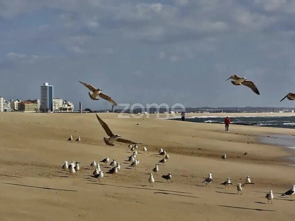 Luxury Apartment with Sea View in Figueira da Foz