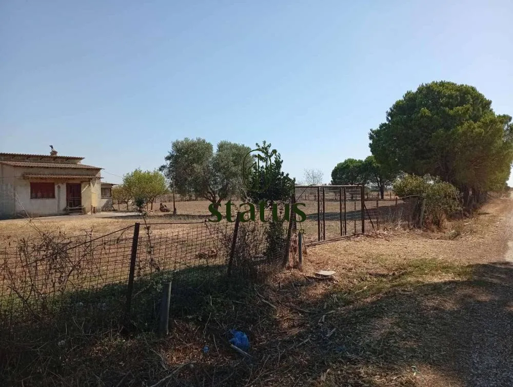 Aed - Four-Faced Plot with Sea Proximity in Kalogria