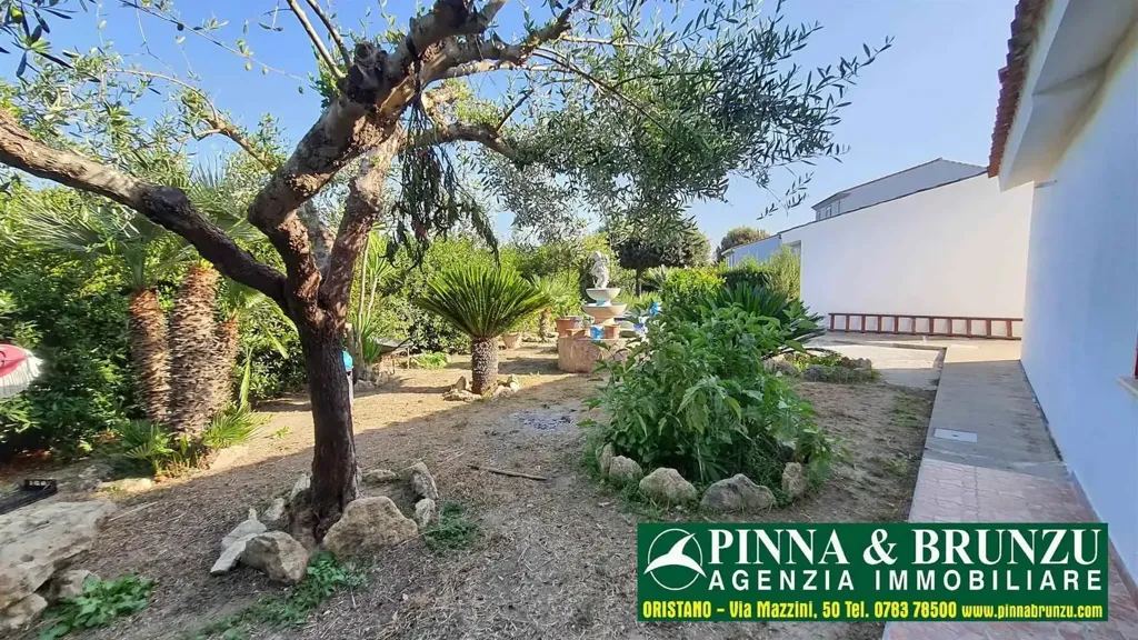 Aed - Villa with Garden in Nurachi
