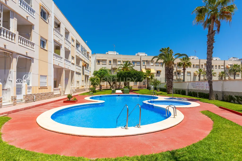 Piscine - Reform Studio with Pool in Torrevieja