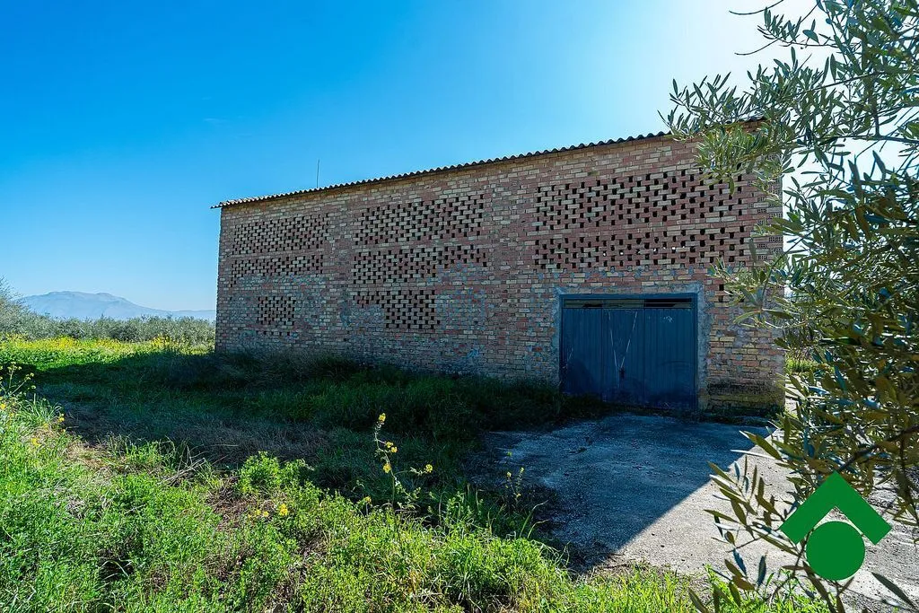 Esterno - Rustic Farmhouse with Terrace in Chauchina