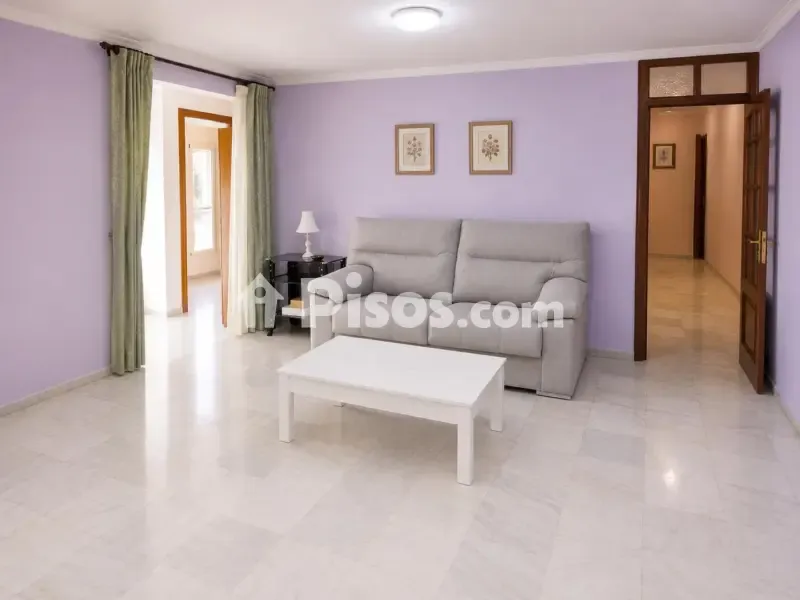 Elutuba - Spacious 4-Bedroom Flat in Teatinos