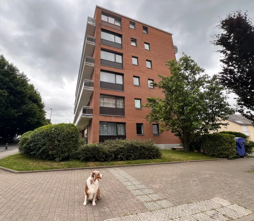 Välivaade - Studio with Garage in Salzinnes, Namur