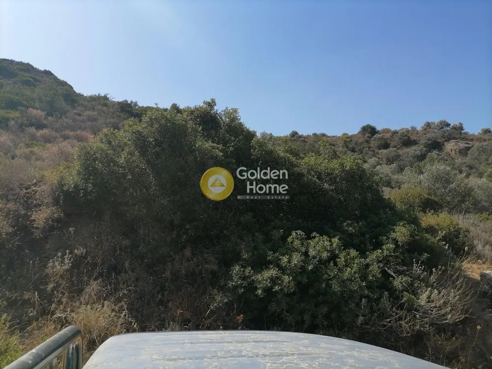 Aed - Agricultural Land with Unrestricted View in Phaistos