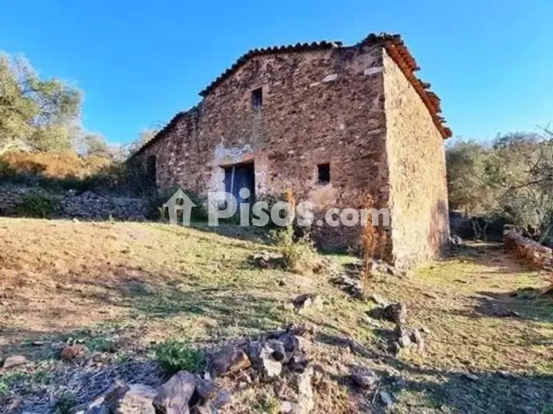 Välivaade - Rustic House with Olive Grove in La Nava