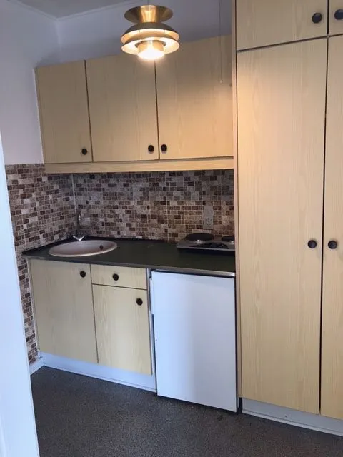 Cuisine - 1-Bedroom Flat with Garden in Urban Area
