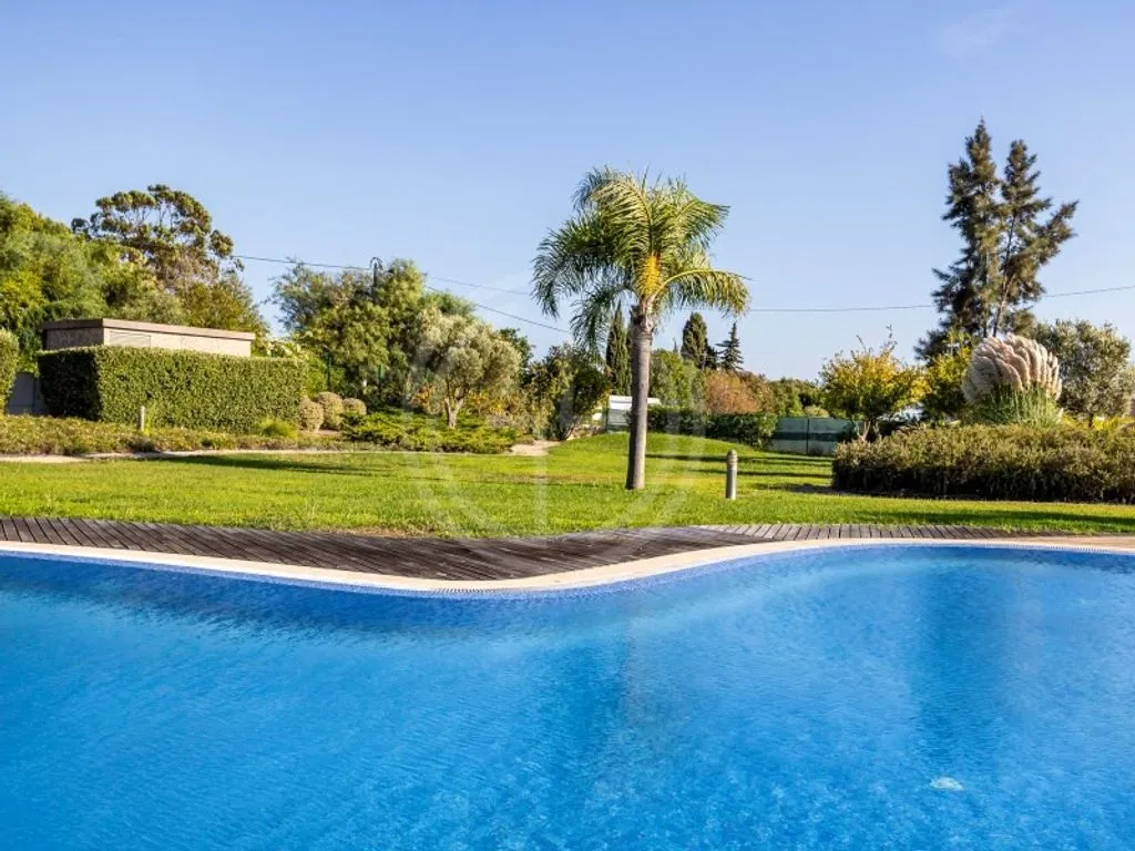 Piscine - Duplex T2 with Private Garden in Lagoa