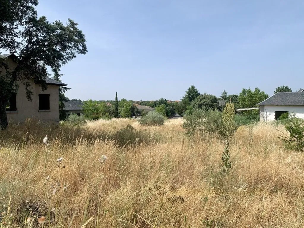 Garden - Urban Development Land near UCM, Colmenarejo