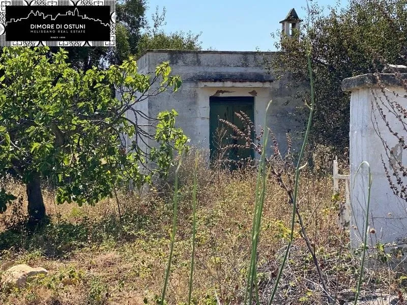 Rustic Lamia with Olive Grove in Ostuni