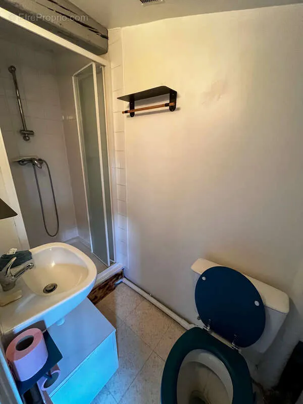 Salles de bain - Studio au Plateau Central, Proche Rue de la Treille