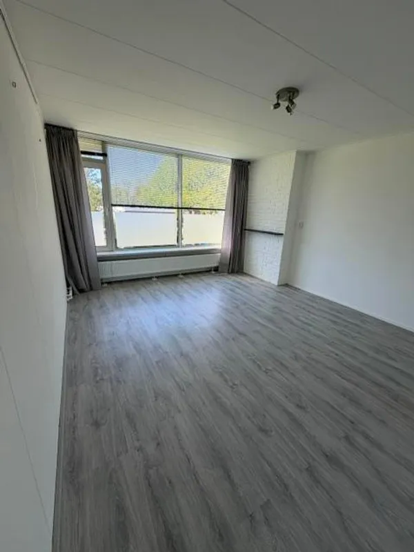 living_room