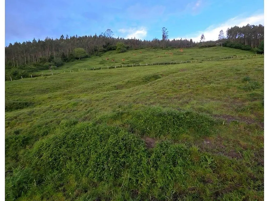 land_plot