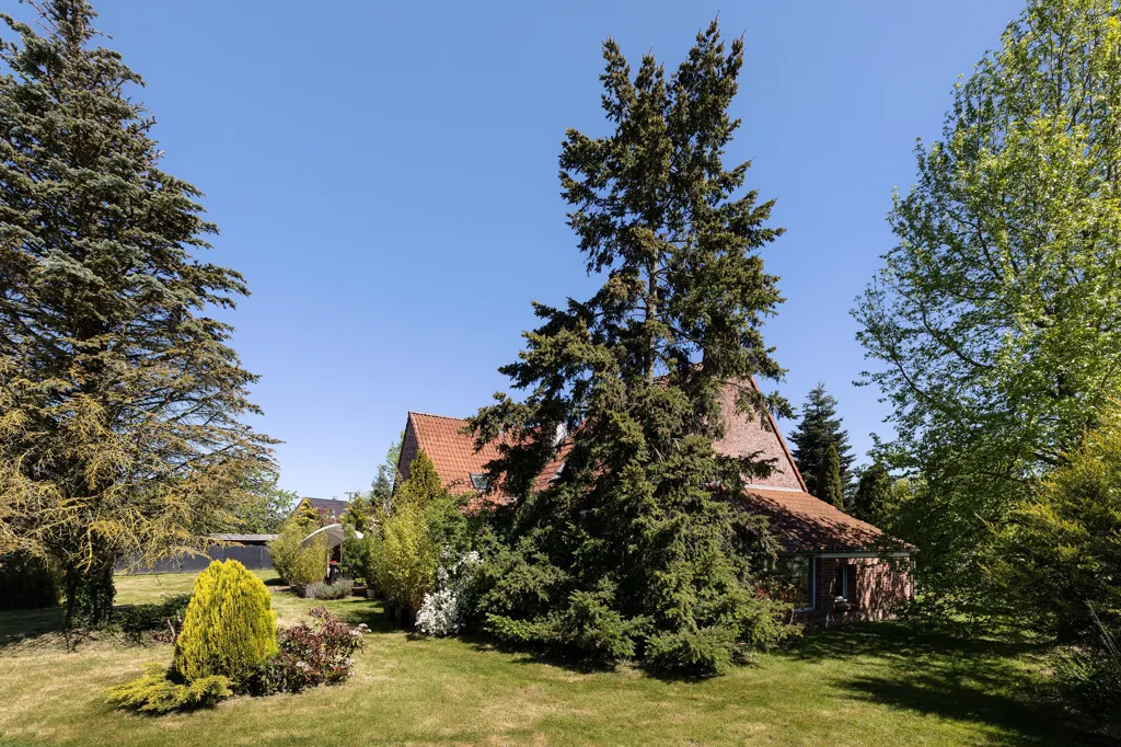 Jardin - Villa d'Architecte avec Jardin au Cœur de la Pévèle