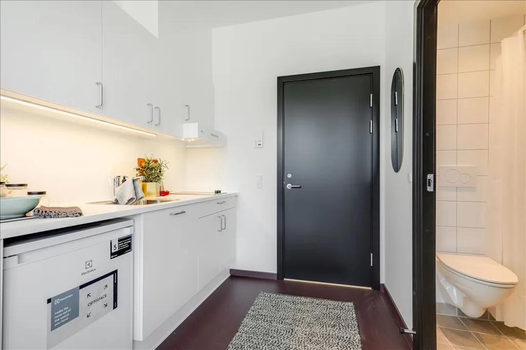 Esik - 1-Bedroom Flat with Terrace in Valby