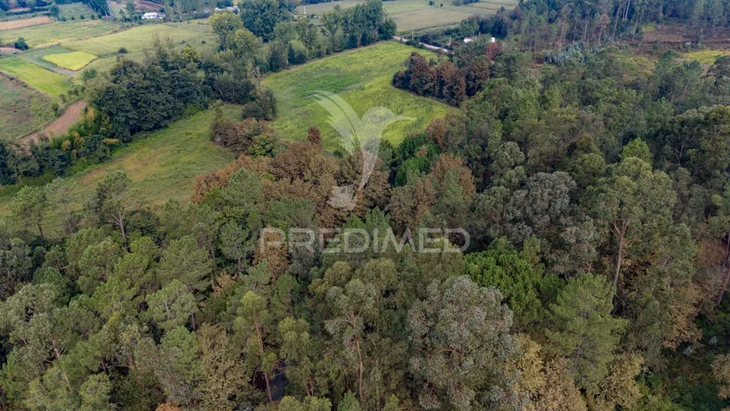 Vue aérienne - Agricultural Land with Construction Viability in Lage